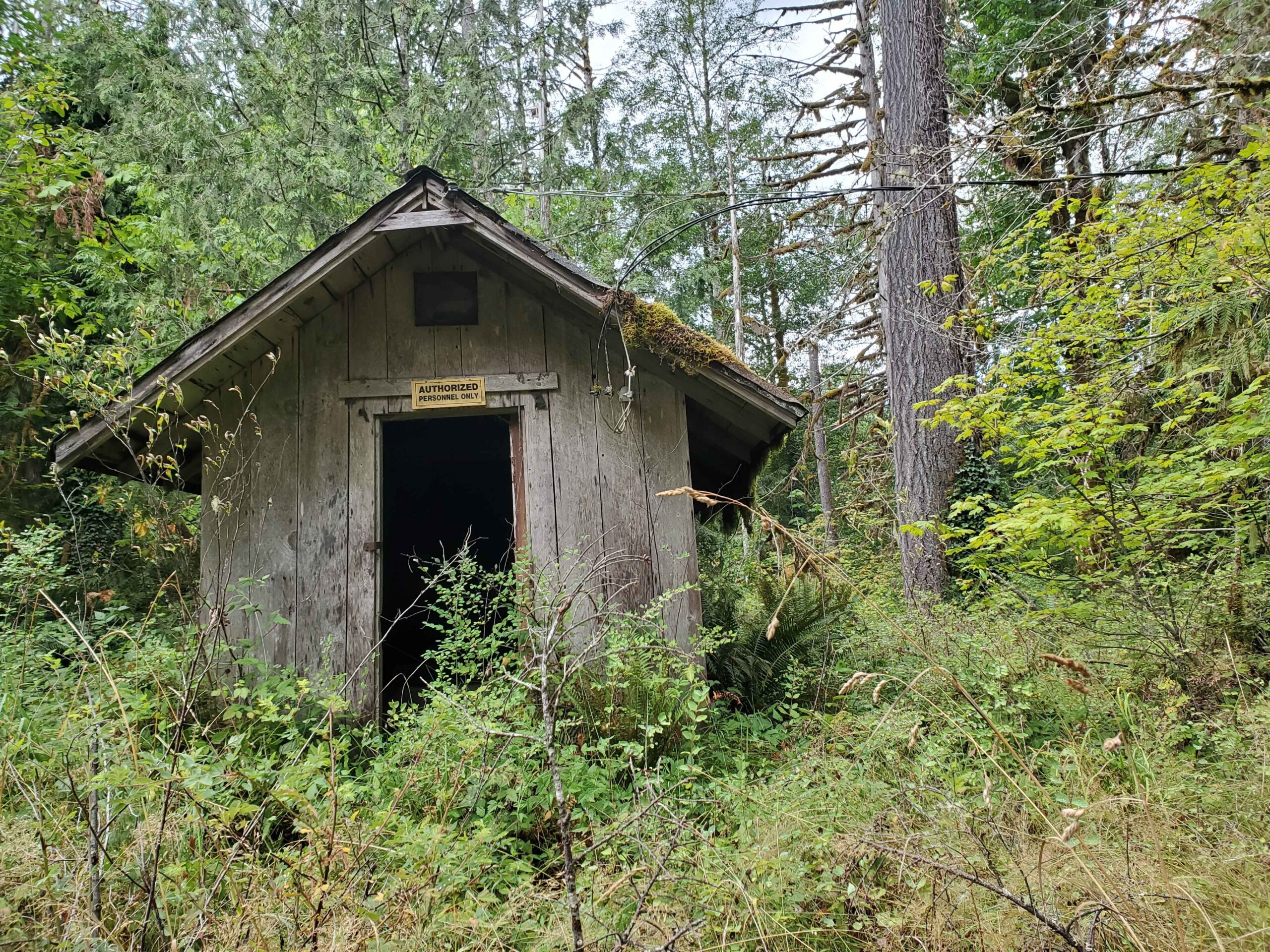 Crouching In a Room Full of Spiders